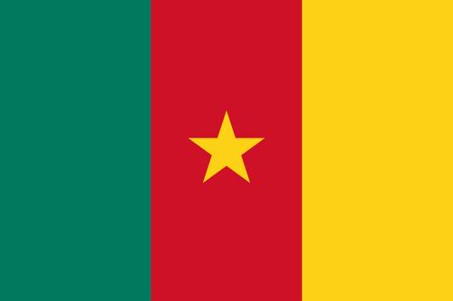 cameroon flag